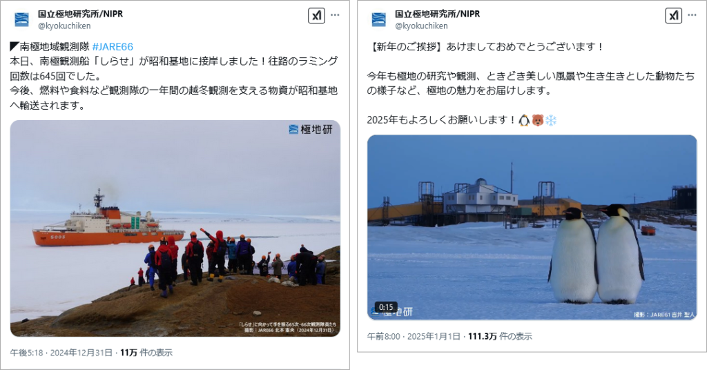 投稿イメージ：国立極地研究所/NIPR（X（Twitter）アカウント）
、年末年始の投稿。ペンギンが可愛いです。
